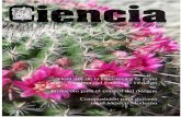 Ciencia Universitaria número 1, enero/junio 2010personal.us.es/.../dlagunas/publicaciones/90.Ciencia_Universitaria.pdf · Ciencia universitaria es una publicación científica multidisciplinaria