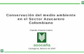 Conservación del medio ambiente en el Sector …mercadosverdes.com/tnsa/esp/TNSA_2007/dia_1/12. Claudia... · 2007-02-28 · Acciones para prevenir el desplazamiento y propiciar