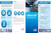 Brochure - CitiDirect - 0553 - Citibank Online · manuales o programados para archivos de pagos o reportes • Alcance global con soluciones de pagos, cobranzas y reportería ...