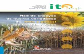Red de ensayos de nuevas variedades de maíz y girasol · PDF fileTesis doctorales Congresos y ... Red de ensayos de nuevas variedades de maíz y girasol en Castilla y León RESULTADOS