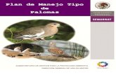 Plan de Manejo Tipo de Palomas - …biblioteca.semarnat.gob.mx/janium/Documentos/Ciga/libros2009/CD... · 4.9 Cronograma de actividades . . . . . 48 5.0 BIBLIOGRAFÍA . . . . . .