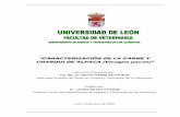 “CARACTERIZACIÓN DE LA CARNE Y CHARQUI DE ... - Perú · A la Universidad Nacional Agraria La Molina (UNALM) de Lima-Perú, por haber contribuido a mi formación profesional y