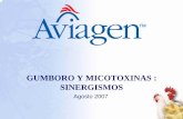 GUMBORO Y MICOTOXINAS : SINERGISMOS - …avicol.co/descargas2/gumboroymicotoxinas.pdf · Existe variabilidad antigénica en diferentes países y de virulencia. Estándar o clásico