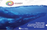 Guía para el avistamiento de ballenas jorobadas en … · Cuenca Azogues Machala E-25 E-15 Sto. Domingo E-25 Sto. Domingo / Quito Montalvo / Guaranda ... guarda el pene y en la hembra