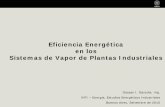 Eficiencia Energética en los Sistemas de Vapor de …estatico.buenosaires.gov.ar/areas/med_ambiente/apra/des...Eficiencia Energética en los Sistemas de Vapor de Plantas Industriales