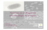 Novetats en el diagnòstic microbiològic de la sèpsia · “A España s’ha reportat unaincidència de sepsis greu de 104-140 casos per 100.000 habitants i any. Això suposa que
