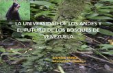 LA UNIVERSIDAD DE LOS ANDES Y EL FUTURO DE … · y la institucionalidad ambiental del pais. venezuela en 1920. venezuela en 1988. venezuela en 2004. uso de la tierra al norte del