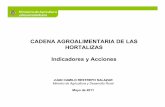 CADENA AGROALIMENTARIA DE LAS HORTALIZAS … · • El cultivo de hortalizas en Colombia, genera en promedio 150 jornales directos por ... Ajos -10.496 2 33.239 -10.415 6 29.255 14