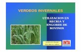 VERDEOS MERCEDES 2005 - …ecaths1.s3.amazonaws.com/plantastoxicas/VERDEOS.INVERNALES... · GIGANTE TRANQUEÑA ROCIO INTA CRECIMIENTO INICIAL MODERADO CRISTAL INTA AURORA INTA PILAR