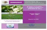 El injerto en el cultivo de melón y sandía como ...apps2.semarnat.gob.mx:8080/sissao/images/pdf/MELON... · Plantación protegida con manta térmica 34 . El injerto en la producción