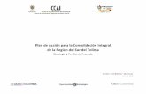 Plan de Acción para la Consolidación Integral de la …ccai-colombia.org/files/primarydocs/1004toex.pdf · Farc, no como actores esenciales de la solución a ese conflicto. El abandono