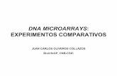 DNA MICROARRAYS EXPERIMENTOS … · conjunto de todos los genes de un organismo gen: unidad de almacenamiento de informaciÓn genÉtica cualquier elemento del cromosoma mediante el