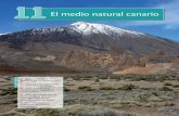 El medio natural canario - oupe.es · El origen volcánico de las islas Canarias Las erupciones volcánicas, mediante la continua emisión de materiales, pueden originar islas que