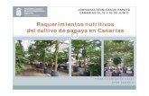Requerimientos nutritivos del cultivo de papaya en … · del cultivo de papaya en Canarias F I N C A L A E S T A C I Ó N ... N P2O5 K2O CaO MgO SO3 CONSUMO NUTRIENTES (g/planta