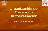 Organización del Proceso de Autoevaluación · Equipo de Acreditación Tiene la responsabilidad de coordinar las actividades del proceso de acreditación. Promueve la difusión y