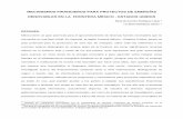 MECANISMOS FINANCIEROS PARA PROYECTOS DE …ru.iiec.unam.mx/3749/1/202-Rodríguez-Rodríguez.pdf · eólicos en el extremo este y oeste de ... en una relación bilateral entre México