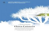 CATÁLOGO DE Flora Canaria - Inicio - Cabildo de … · Usos tradicionales: Es de la misma familia que el pista-cho o los anacardos, así que sus frutos son igualmente comestibles,