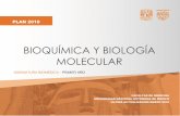 BIOQUÍMICA Y BIOLOGÍA MOLECULAR - …bq.facmed.unam.mx/files/Programa-FINAL-2018.pdf · BIOQUÍMICA Y BILOGÍA MOLECULAR FACULTAD DE MEDICINA ... Desarrolla acciones docentes, de