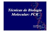 T©cnicas de Biolog­a Molecular: PCR - Conselleria de (1)_2010  para la extracci³n de ADN El procedimiento