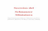 Secretos del Schnauzer Miniatura³n Bienvenidos a una guía sencilla, rápida y sobre todo EFECTIVA para educar, entrenar y adiestrar a un Schnauzer Miniatura. Bienvenidos a “Secretos