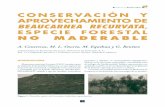 CONSERVACIÓN Y APROVECHAMIENTO DE - …rua.ua.es/dspace/bitstream/10045/8837/1/cuadbiod28_01.pdf · ... semilla. 5 Cuadernos de Biodiversidad DESCRIPCIÓN Y DINÁMICA DE LA ESPECIE
