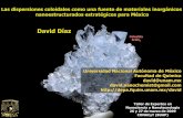David Díaz - nanored.org.mx Diaz.pdf · En la UNAM, la FQ es la entidad que produce, en números totales, la ... Unidad de Servicios Analíticos e Investigación (USAI) 400 MHz Varian,