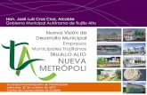 Visión para el Nuevo Desarrollo Municipal - spp-pr.orgspp-pr.org/wp-content/uploads/downloads/2013/11/Empresas-Municip… · nueva visiÓn para el desarrollo municipal: ... enmienda