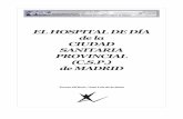 EL HOSPITAL DE DÍA de la CIUDAD SANITARIA … Hospital de Dia.pdf · que se han desarrollado en la parte II en nuestra condición de colaboradora de la Cátedra de Historia de la