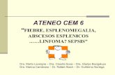 ATENEO CEM 6 - apelizalde.orgapelizalde.org/actividades/Agosto 13 CEM 6.pdf · similares imágenes hipoecoicas. ... Microabscesos en hígado y bazo. ... lesiones osteolíticas, endocarditis