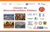 Clúster de Biocombustibles Sólidos - rtbioenergia.org.mxrtbioenergia.org.mx/wp-content/uploads/2017/12/2_Garcia_Solidos.pdf · AGROINDUSTRIALES CULTIVOS ENERGÉTICOS GESTIÓN Manejo