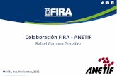 Colaboración FIRA - ANETIFcumbre2016.anetif.org/files/jueves_17/8_rafael_gamboa/8_rafael... · *Cifras Preliminares. 10 Contenido 1. Evolución del Sector y Financiamiento FIRA 2.