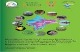 Identi icación de los Procesos Ecológicos y Evolutivos ... · Identi icación de los Procesos Ecológicos y Evolutivos Esenciales para la Persistencia y Conservación de la Biodiversidad