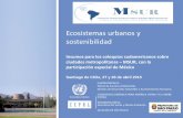 Ecosistemas urbanos y sostenibilidad - …conferencias.cepal.org/coloquio_msur/Lunes 27/Pdf/L Montero.pdf · de los ecosistemas resultado del modelo de crecimiento urbano. Para garantizar
