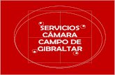 SERVICIOS CÁMARA CAMPO DE GIBRALTAR · Solicitud para la ayuda: antes de solicitar la ayuda ha de elaborarse una memoria de IVA de la empresa y de la inversión que se solicita.