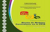 Diseño de Módulos Curriculares en la EPJA - … · Los objetivos orientadores del desarrollo y la ... –amos la propuesta curricular, con las bases, principios, ... – Asumimos