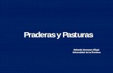 Praderas y Pasturaspraderasypasturas.com/.../2013/01.-Definicion_de_Pastizal.pdf · Leyes de la Evolución Leyes de la Termodinámica ECOLOGÍA Gleason (McArthur) Clements (Odum)