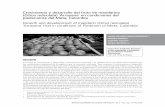 Crecimiento y desarrollo del fruto de mandarina Citrus …soccolhort.com/revista/pdf/magazin/vol3/vol.3. no.2/mandarin citrus... · contenido de sólidos solubles totales (SST), la