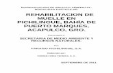 REHABILITACION DE MUELLE EN PICHILINGUE, …sinat.semarnat.gob.mx/dgiraDocs/documentos/gro/estudios/2011/12GE... · manifestacion de impacto ambiental. modalidad particular. rehabilitacion