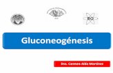 Gluconeogénesis · y mitocondria GLUCONEOGÉNESIS ... Fundamentos de Bioquímica. 2ª. Ed. Voet, Voet, Pratt . postprandial ... piruvato y como intermediarios del CICLO DE KREBS,