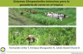 Sistemas Silvopastoriles Intensivos para la ganadería …static.contextoganadero.com.s3.amazonaws.com/Publicaciones/... · veces superior al pastoreo extensivo, y en consecuencia,