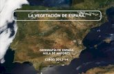 LA VEGETACIÓN DE ESPAÑA. - uma.es · à! en el territorio español se conservan todavía extensos paisajes rurales en ... relieve, las llanuras han sido transformadas por las actividades