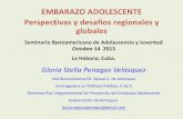 EMBARAZO ADOLESCENTE Perspectivas y desafíos regionales y ... adolecente... · Perspectivas y desafíos regionales y globales Seminario Iberoamericano de Adolescencia y Juventud