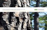 Una guía para las especies de coníferas americanassouthernpineglobal.com/app/uploads/AS_Species_LAspan_WEB...2 — Una guía para las especies de maderas de coníferas americanas