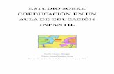 ESTUDIO SOBRE COEDUCACIÓN EN UN AULA DE …uvadoc.uva.es/bitstream/10324/1098/1/TFG-B.35.pdf · CONCLUSIONES, RECOMENDACIONES Y REFLEXIÓN FINAL:..... 35 7.1 Conclusiones ... los
