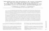 Identificación de genotipos de cepas aisladas de Plasmodium falciparum mediante la reacción en cadena de la polimerasa y …hist.library.paho.org/Spanish/BOL/v120n2p125.pdf · no