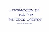 1. EXTRACCIÓN DE DNA POR MÉTODOS CASEROSdocentes.educacion.navarra.es/ralvare2/DNAExtraccion.pdf · También se puede utilizar batidora (medio vaso de guisantes durante 5-15 segundos).