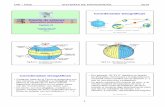 Coordenadas Geográficas Diseño de enlacesaniak.uni.edu.pe/CH 10 MW Examples 2010-2.pdf · • Una línea de longitud también se denomina meridiano , voz que deriva del ... que