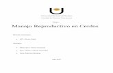 TEMA: Manejo Reproductivo en Cerdosredbiblio.unne.edu.ar/pdf/99534-TPP-CERDOS.pdf · parte de la población leucocitaria disminuyendo el proceso de fagocitosis de las células espermáticas
