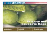 El éxito del aguacate Hass - gaceta.udg.mx · Este será uno de los temas a tratar en el V Congreso Latinoamericano del Aguacate 2017, organizado por la Asociación de Productores
