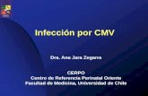 Infección por CMV - cerpo.cl · embarazo (6 se evidencio empeoramiento lesiones cerebrales), de los 13 RN; dos presentaron infección sintomática, 1 sd genetico y …
